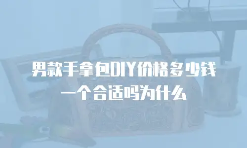 男款手拿包DIY价格多少钱一个合适吗为什么