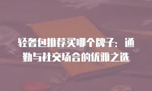 轻奢包推荐买哪个牌子：通勤与社交场合的优雅之选