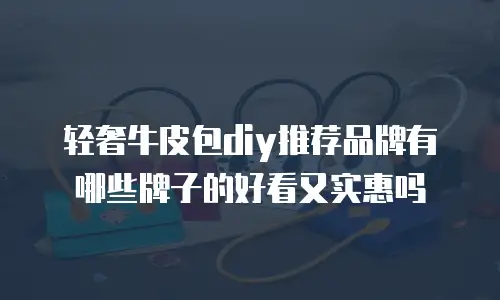 轻奢牛皮包diy推荐品牌有哪些牌子的好看又实惠吗