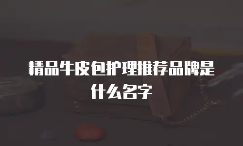 精品牛皮包护理推荐品牌是什么名字