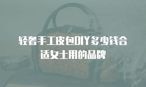 轻奢手工皮包DIY多少钱合适女士用的品牌