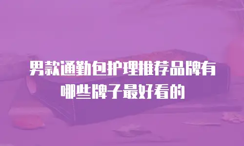 男款通勤包护理推荐品牌有哪些牌子最好看的