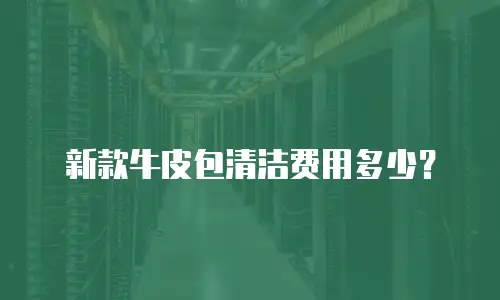 新款牛皮包清洁费用多少？