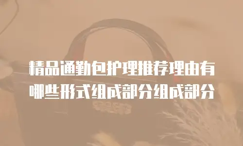 精品通勤包护理推荐理由有哪些形式组成部分组成部分
