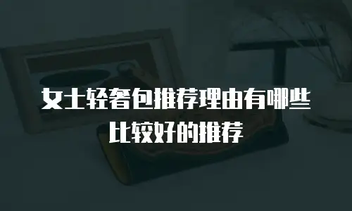 女士轻奢包推荐理由有哪些比较好的推荐
