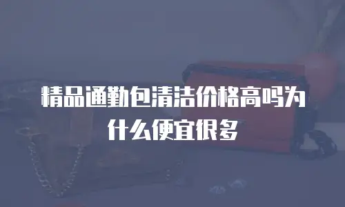 精品通勤包清洁价格高吗为什么便宜很多