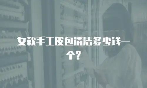 女款手工皮包清洁多少钱一个？