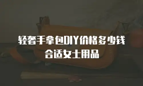 轻奢手拿包DIY价格多少钱合适女士用品