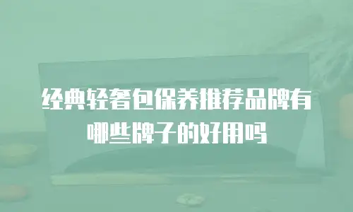 经典轻奢包保养推荐品牌有哪些牌子的好用吗