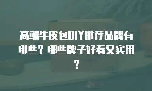 高端牛皮包DIY推荐品牌有哪些？哪些牌子好看又实用？