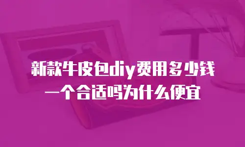 新款牛皮包diy费用多少钱一个合适吗为什么便宜