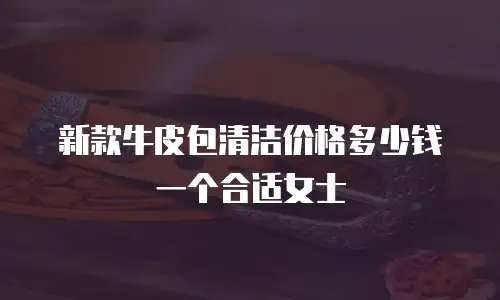 新款牛皮包清洁价格多少钱一个合适女士