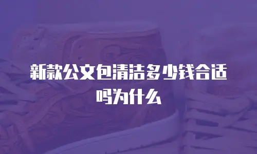 新款公文包清洁多少钱合适吗为什么