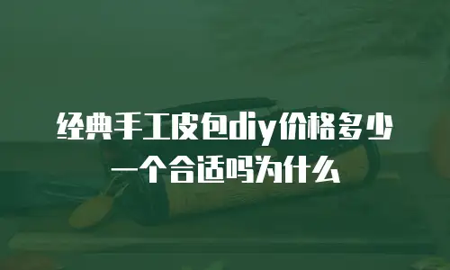 经典手工皮包diy价格多少一个合适吗为什么