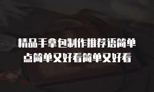精品手拿包制作推荐语简单点简单又好看简单又好看