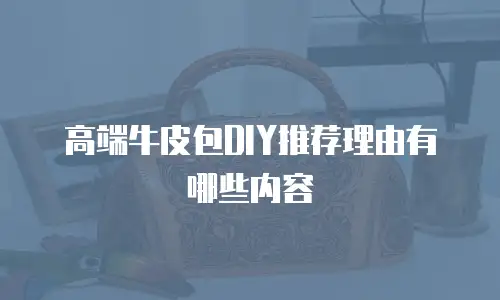 高端牛皮包DIY推荐理由有哪些内容