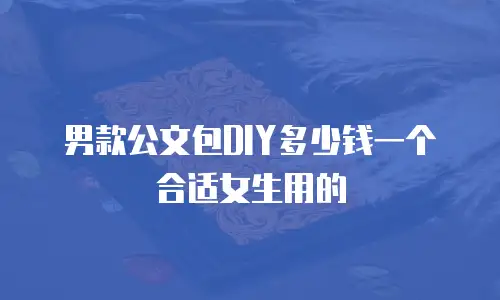 男款公文包DIY多少钱一个合适女生用的
