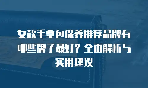 女款手拿包保养推荐品牌有哪些牌子最好？全面解析与实用建议