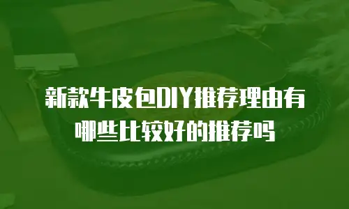 新款牛皮包DIY推荐理由有哪些比较好的推荐吗