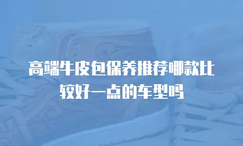高端牛皮包保养推荐哪款比较好一点的车型吗