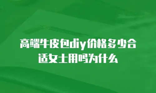 高端牛皮包diy价格多少合适女士用吗为什么