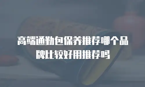 高端通勤包保养推荐哪个品牌比较好用推荐吗