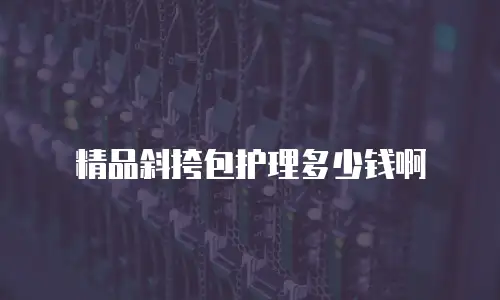 精品斜挎包护理多少钱啊