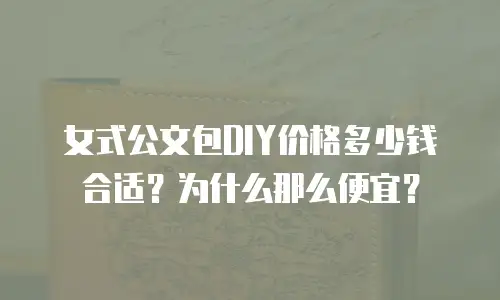 女式公文包DIY价格多少钱合适？为什么那么便宜？