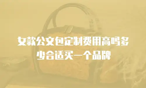 女款公文包定制费用高吗多少合适买一个品牌