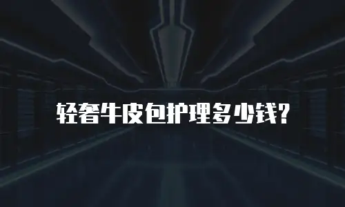 轻奢牛皮包护理多少钱？