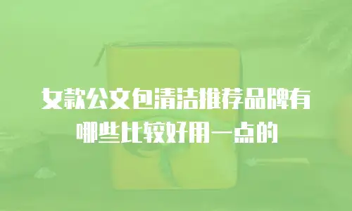女款公文包清洁推荐品牌有哪些比较好用一点的