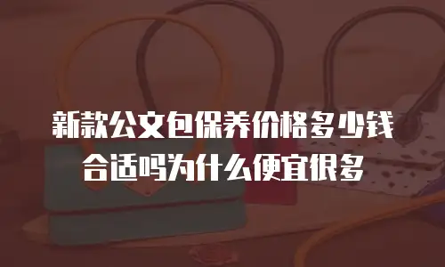 新款公文包保养价格多少钱合适吗为什么便宜很多