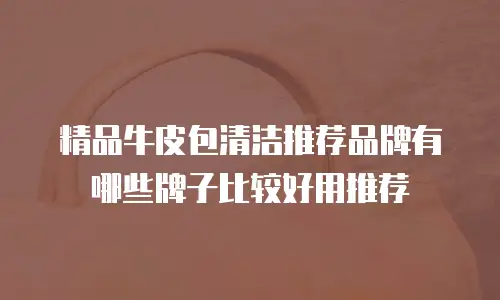 精品牛皮包清洁推荐品牌有哪些牌子比较好用推荐