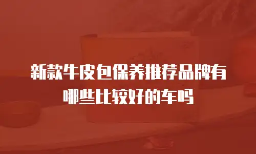 新款牛皮包保养推荐品牌有哪些比较好的车吗