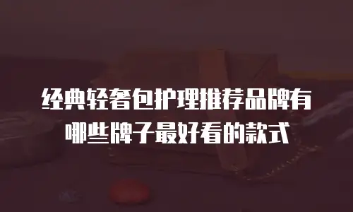 经典轻奢包护理推荐品牌有哪些牌子最好看的款式