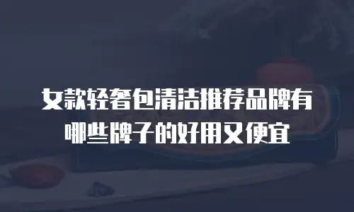 女款轻奢包清洁推荐品牌有哪些牌子的好用又便宜