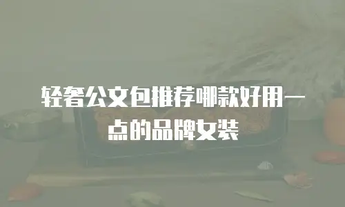 轻奢公文包推荐哪款好用一点的品牌女装