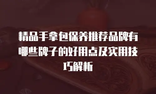 精品手拿包保养推荐品牌有哪些牌子的好用点及实用技巧解析