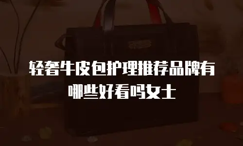 轻奢牛皮包护理推荐品牌有哪些好看吗女士