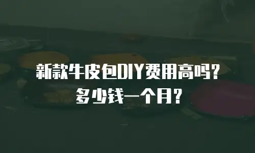 新款牛皮包DIY费用高吗？多少钱一个月？