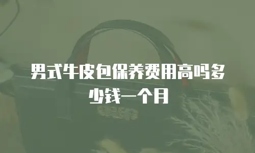 男式牛皮包保养费用高吗多少钱一个月
