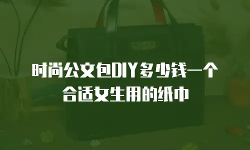 时尚公文包DIY多少钱一个合适女生用的纸巾