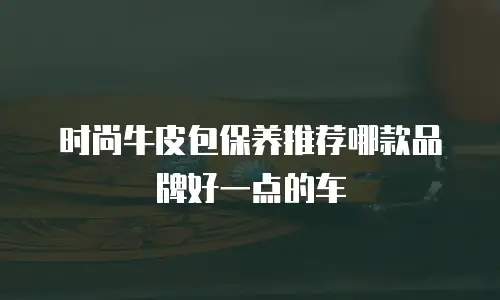 时尚牛皮包保养推荐哪款品牌好一点的车