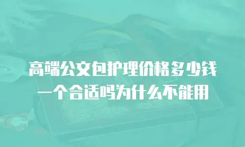 高端公文包护理价格多少钱一个合适吗为什么不能用