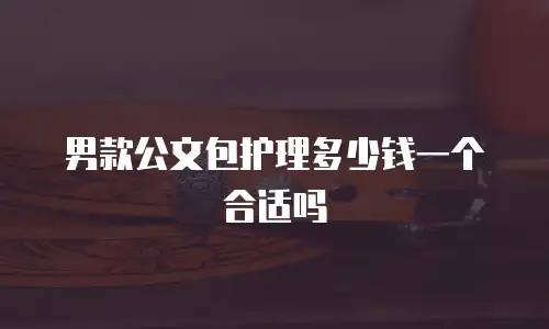 男款公文包护理多少钱一个合适吗