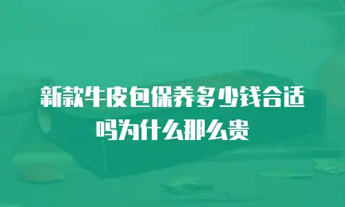 新款牛皮包保养多少钱合适吗为什么那么贵