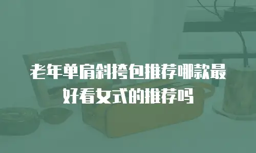 老年单肩斜挎包推荐哪款最好看女式的推荐吗