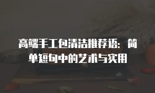高端手工包清洁推荐语：简单短句中的艺术与实用