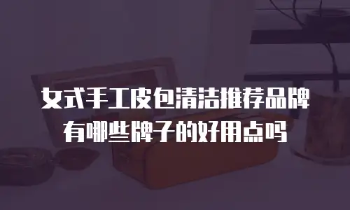 女式手工皮包清洁推荐品牌有哪些牌子的好用点吗
