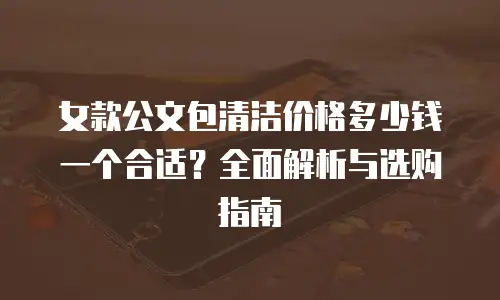 女款公文包清洁价格多少钱一个合适？全面解析与选购指南